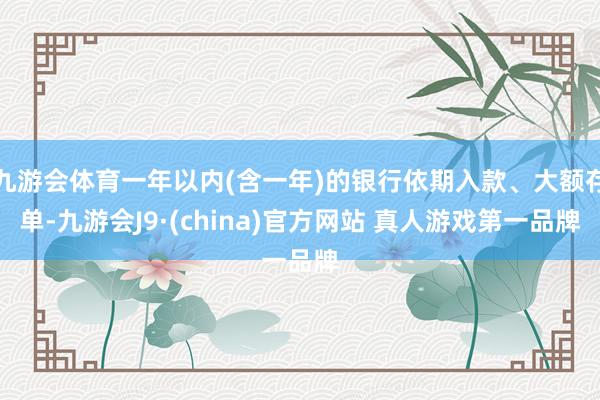 九游会体育一年以内(含一年)的银行依期入款、大额存单-九游会J9·(china)官方网站 真人游戏第一品牌