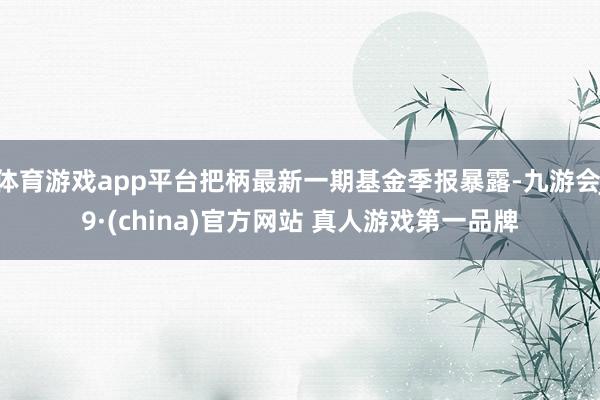 体育游戏app平台把柄最新一期基金季报暴露-九游会J9·(china)官方网站 真人游戏第一品牌