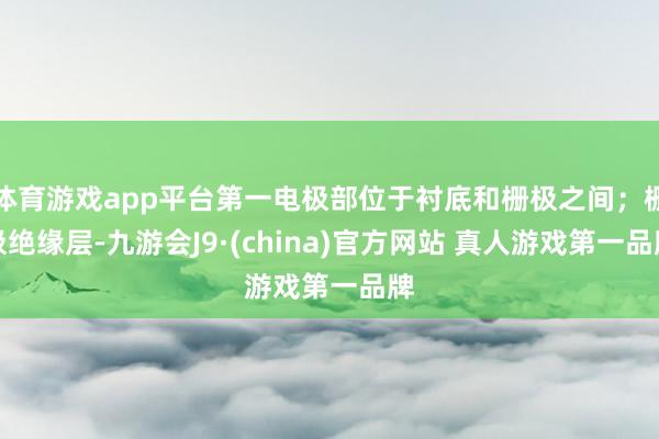 体育游戏app平台第一电极部位于衬底和栅极之间；栅极绝缘层-九游会J9·(china)官方网站 真人游戏第一品牌