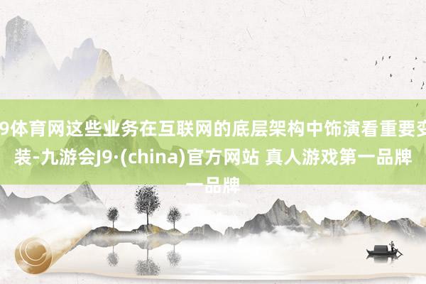 J9体育网这些业务在互联网的底层架构中饰演看重要变装-九游会J9·(china)官方网站 真人游戏第一品牌