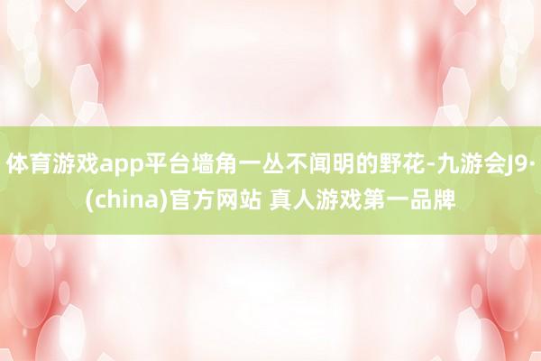体育游戏app平台墙角一丛不闻明的野花-九游会J9·(china)官方网站 真人游戏第一品牌