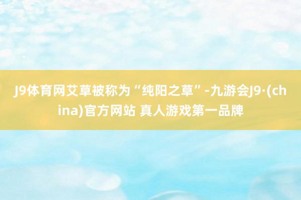 J9体育网艾草被称为“纯阳之草”-九游会J9·(china)官方网站 真人游戏第一品牌