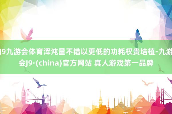 J9九游会体育浑沌量不错以更低的功耗权贵培植-九游会J9·(china)官方网站 真人游戏第一品牌