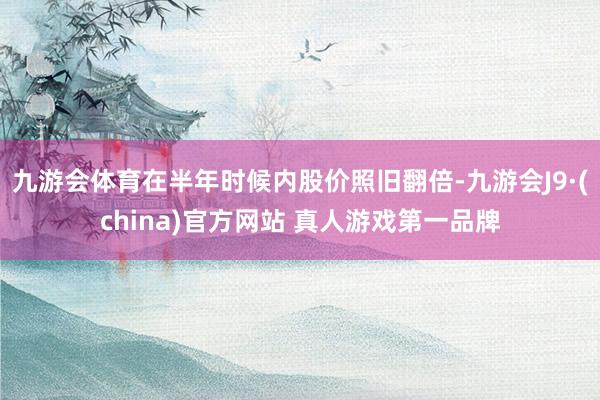九游会体育在半年时候内股价照旧翻倍-九游会J9·(china)官方网站 真人游戏第一品牌