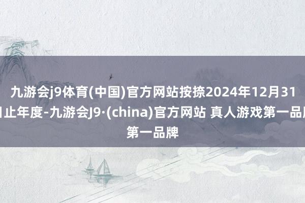 九游会j9体育(中国)官方网站按捺2024年12月31日止年度-九游会J9·(china)官方网站 真人游戏第一品牌